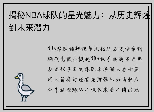 揭秘NBA球队的星光魅力：从历史辉煌到未来潜力