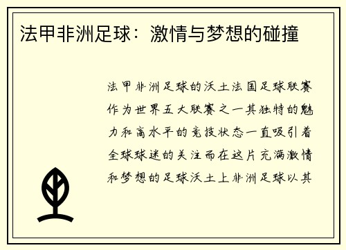 法甲非洲足球：激情与梦想的碰撞