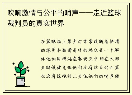 吹响激情与公平的哨声——走近篮球裁判员的真实世界