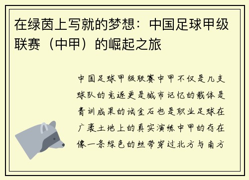 在绿茵上写就的梦想：中国足球甲级联赛（中甲）的崛起之旅